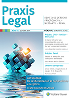 Portada Praxis Legal